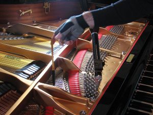 Photo of moving the mute before tuning a different string.