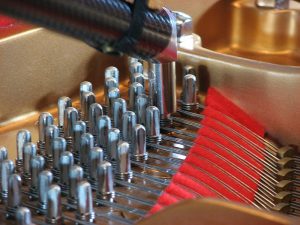 Photo of pinblock containing the tuning pins.